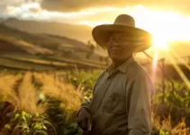 Corte de maleza con machete, la habilidad indispensable en la agricultura peruana